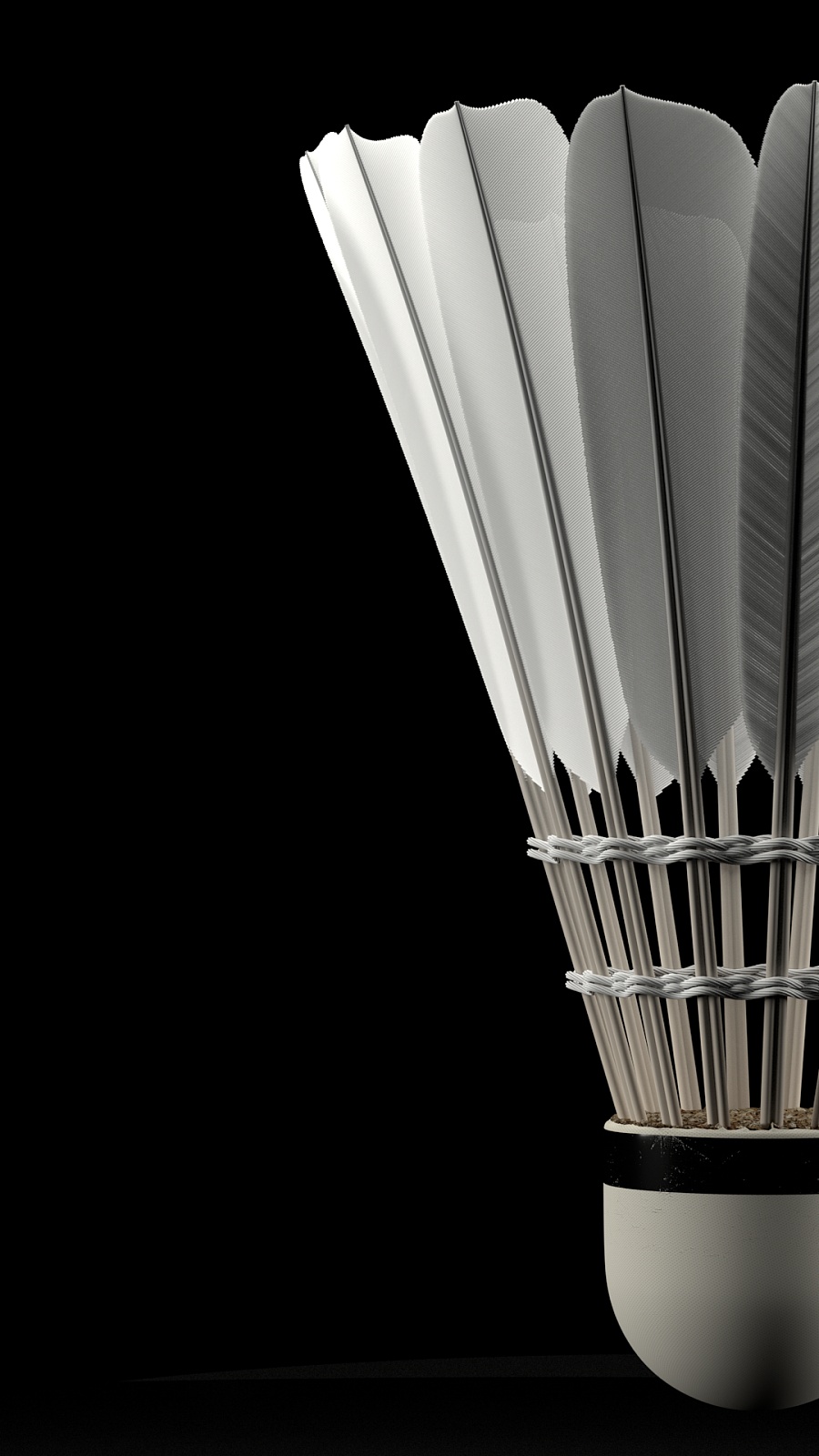 稳定状态 稳定状态